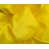 Jaune sélectionné