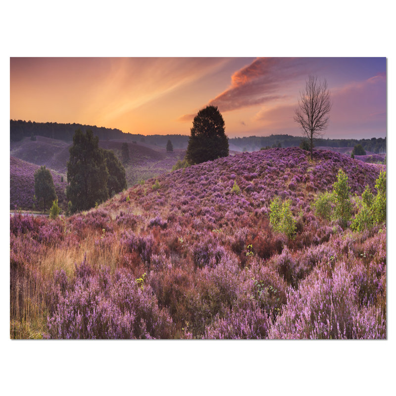 Blooming Heather at Dawn Panorama - impression sur toile tendue, H 20 po x l 20 po x P 1 po