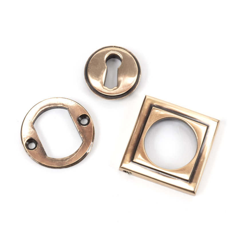Escutcheon Door Accessory, Polished Bronze