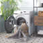 Tacoma Davilla Machine Washable Area Rug In Grey & Gold-1542326023