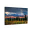 1 Piece Wrapped Canvas Wall Art