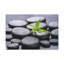 «Bamboo on Zen Stones Forest Floral Nature», photographie sur toile-587411168