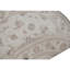 Hand Knotted Area Rug in Ivory