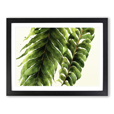 XH1022-9831X Fern Leaf Vol.3 - Single Picture Frame Print