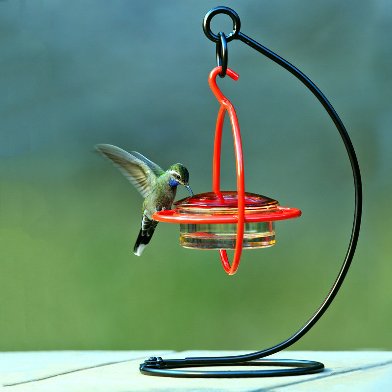 Mangeoire d'oiseaux de table Richard