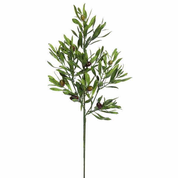 Olive leaf & seeds Garland