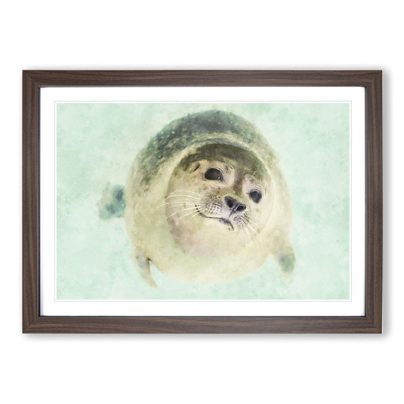 Seal - Picture Frame Graphic Art, Walnut Framed, 27cm H x 36cm W x 2cm D