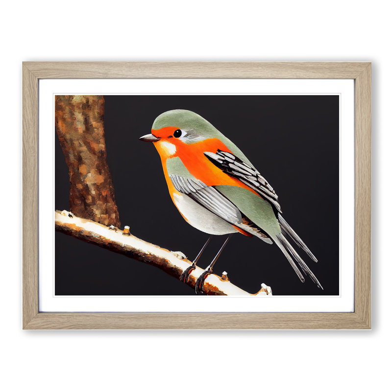 Enchanting Robin Bird - Single Picture Frame Print, 46cm H x 64cm W x 2cm D, Oak Framed