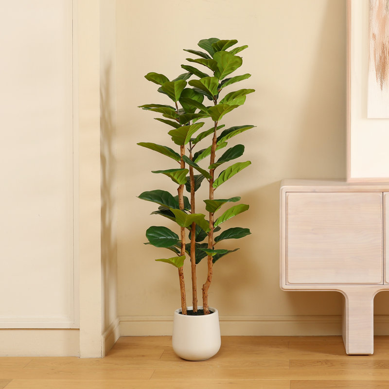 Adcock  Artificial Fiddle Leaf Fig Tree with Realistic Leaves and Natural Trunk, Potted Tree, 60" H x 20" W x 20" D
