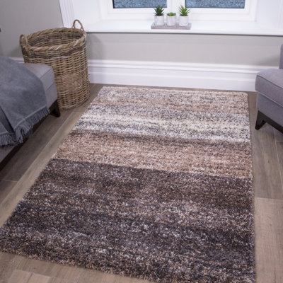 Reegan Rectangle Striped Shag
