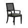 Vernet Upholstered Arm Chair in Black/Gray