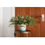 Ramage Ceramic Planter-635527234