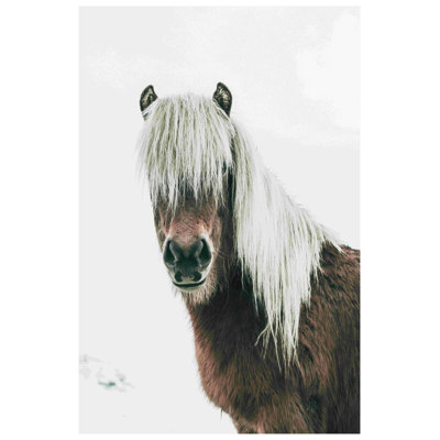 " Shaggy Winter Horse "