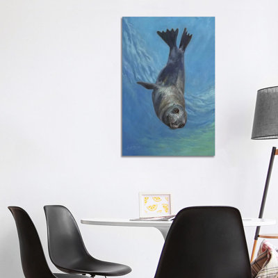 Sea Lion, Sea Of Cortez by David Stribbling - Wrapped Canvas Painting
