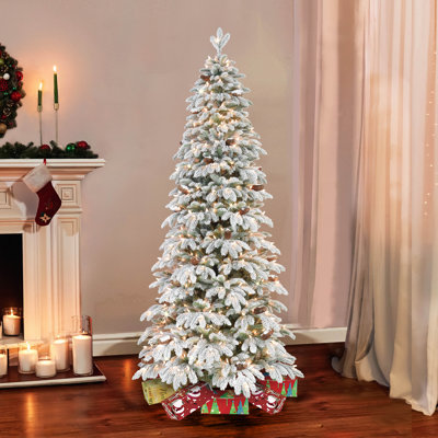 90' Lighted Spruce Christmas Tree