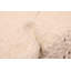 Tapis crème Looma 8 pi 10 po x 11 pi 9 po