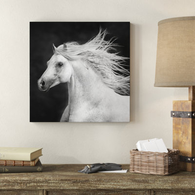 "B&W Horses IV" par PHBurchett, impression sur toile