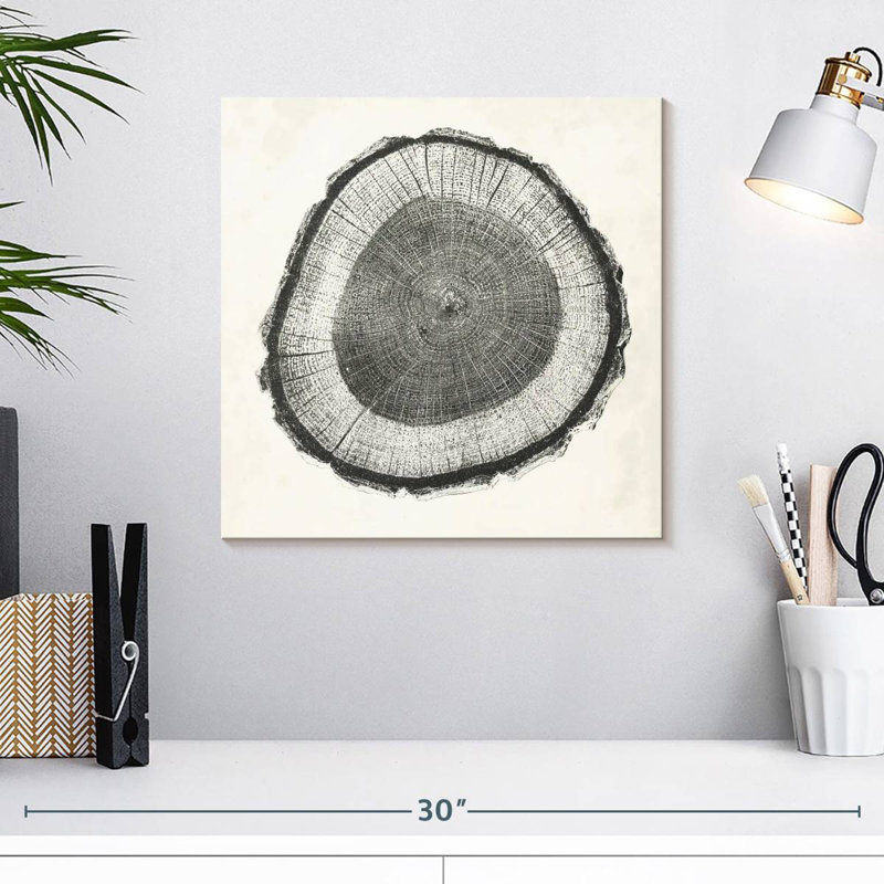Avery Tree Ring II, 16" H x 16" W