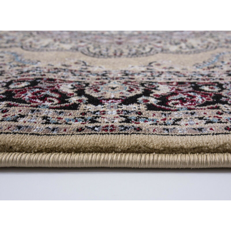 Alsey Oriental Area Rug, Rectangle 120 x 170cm