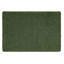 Forest Green Shaggy -174063872