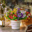 Arrangement