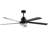 Quentin 65" Dimmable LED Ceiling Fan with Remote Control