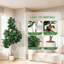 Figuier artificiel 7 pi 7 pi, 141 feuilles, plante artificielle en pot blanc-194455263