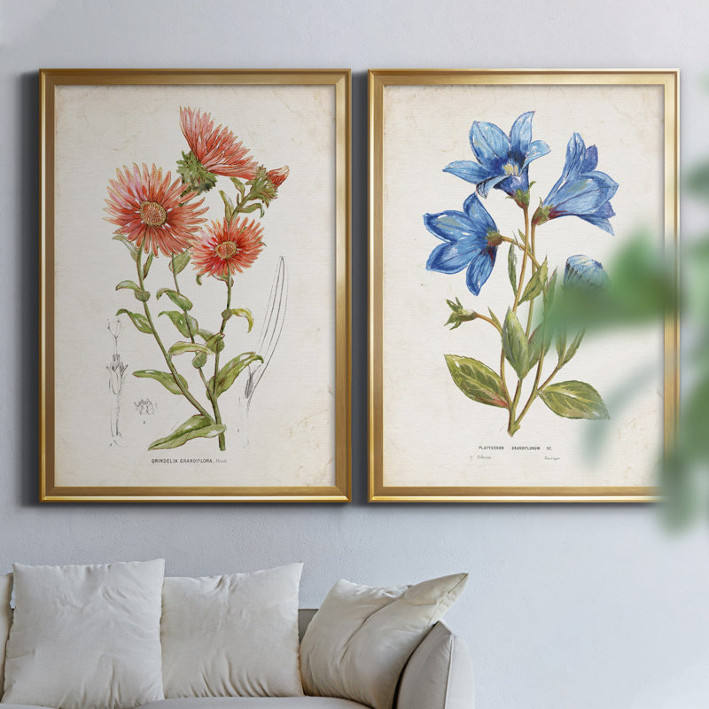 «Botanical I», ensemble de 2 reproductions d'art, Pas de tapis, Toile encadrée dorée, H 26,5 po x l 73 po x P 1,5 po