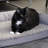 Brooklyn Bedding Pet Bed, Small-130884809