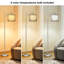 Lampe sur pied 62 po Adiy