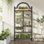 Suazo Etagere Bookcase, Arched Shelf-184402417