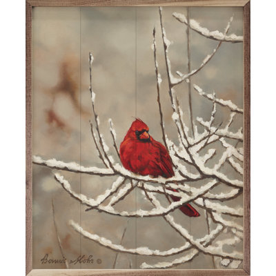 Cardinal By Bonnie Mohr