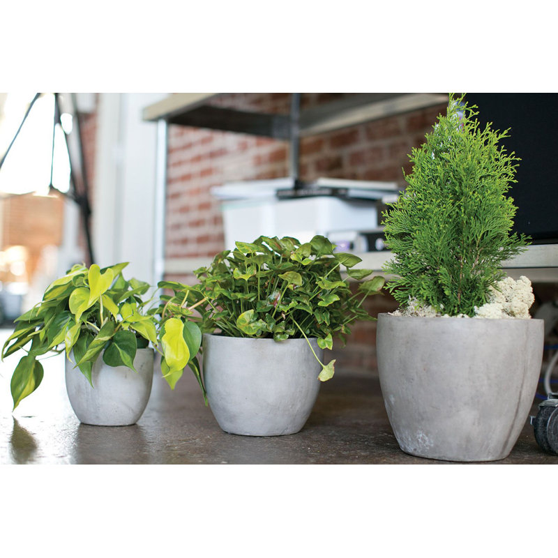 Trixie Pot Planter, 8.7" H x 10" W x 10" D
