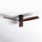 Rafaella 52'' Ceiling Fan-88327227-88327229