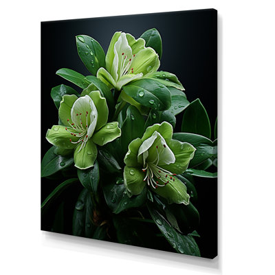 " Meticulously Detailed Rhododendron Flowers "