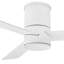 Ventilateur intelligent DEL Hinkley-122614738-122614737