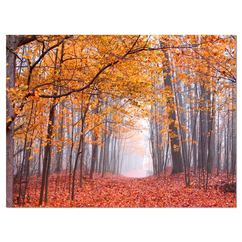 «Beautiful Trees with Fallen Leaves», reproduction de photo sur toile tendue, H 20 po x l 20 po x P 1 po