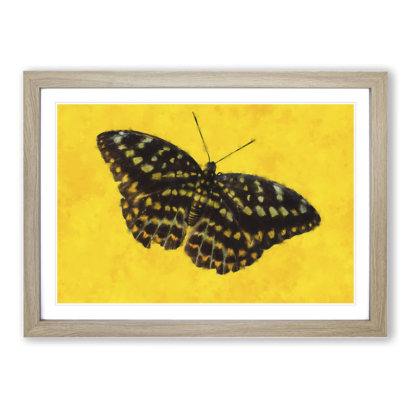 Butterfly Vol.4 - Picture Frame Painting, 27cm H x 36cm W x 2cm D, Oak Framed