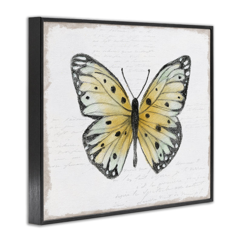 Magnifique papillon sur estampe numérique par Janet Tava, Giclée encadrée noir minuit, H 11 po x l 14 po