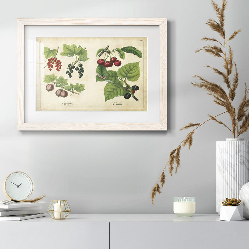 Cuisine fruits III, H 18 po x l 26 po x P 1,5 po, Blanc