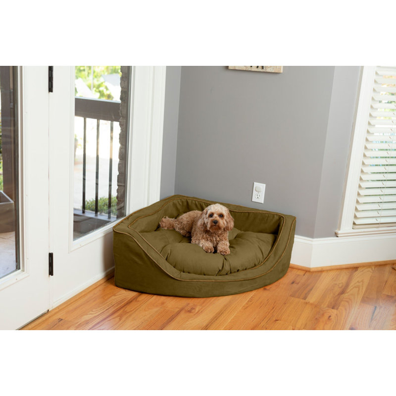 Lit pour chien Snoozer, Grand (l 29 po x P 29 po x H 12 po), Olive / Café