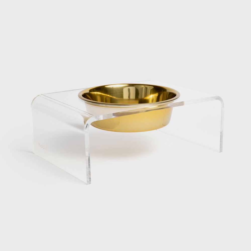 Single Bowl Elevated Feeder with Bowl, Gold, Clear