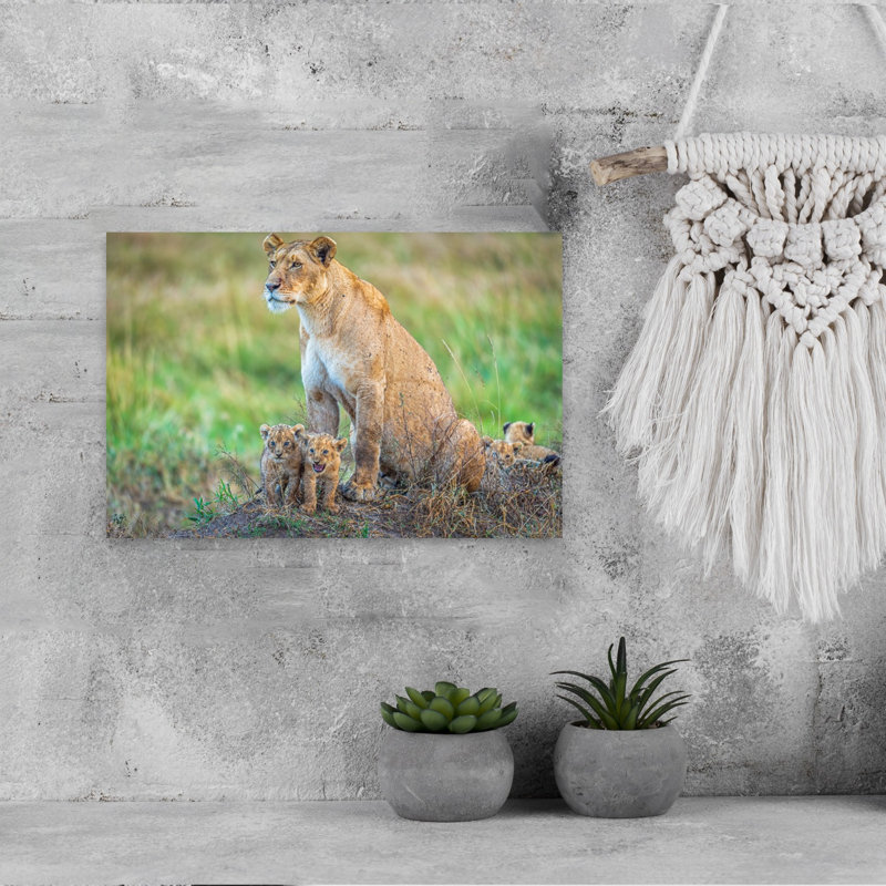 Watchful Lioness And Cubs Contemporary Cat Lion Nature Wildlife Wall Art Print by Jeffrey C. Sink - 1 Piece Wrapped Canvas Wall Art