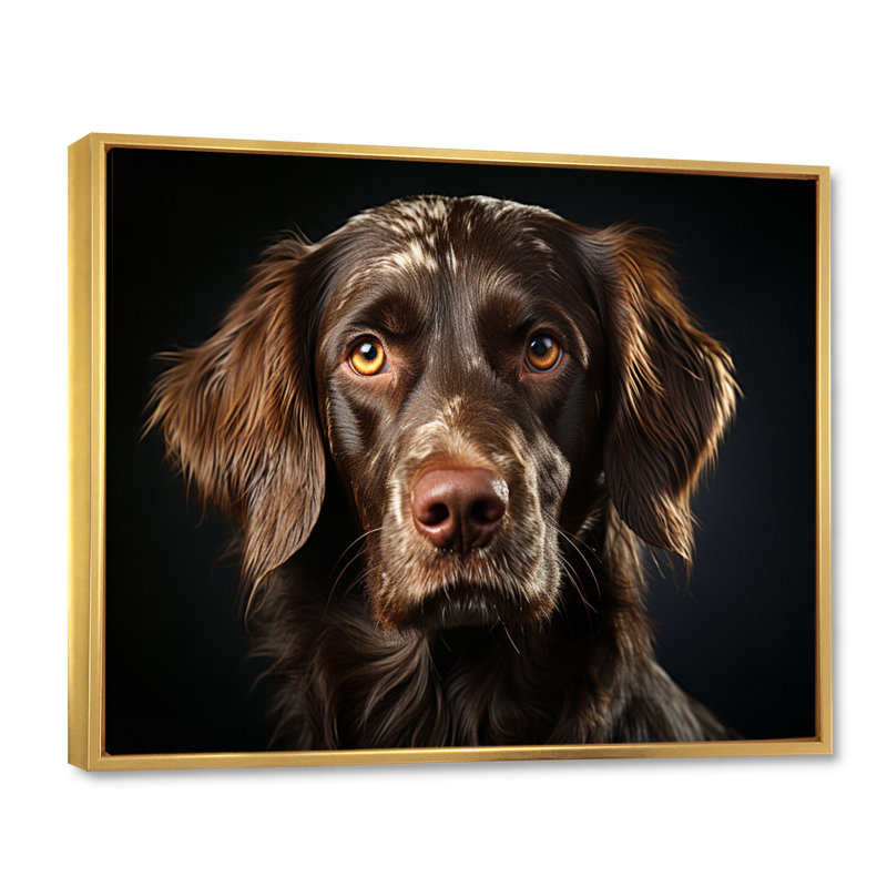 Portrait de chien II - impression, Cadre flottant doré, H 24 po x l 32 po x P 1 po