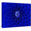 Photographie « abstract blue floral design »-34993003-34992994