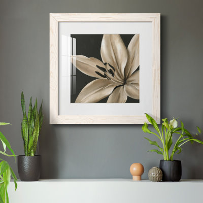 " Classical Blooms III "