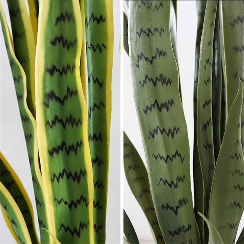 Plant, 27.55cm H x 5.9cm W