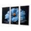 Bleu orange délicat Marigold Photo II - ensemble d'art mural souci-1124817105-1124817111
