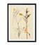 « antique botanique esquissé vi »-impression sur toile-1630152588-1630151778