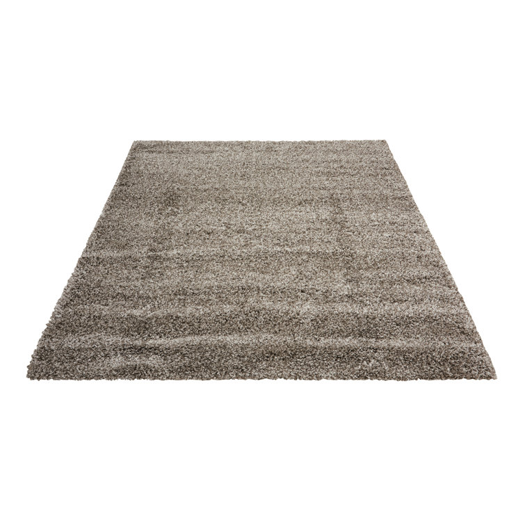 Patinkin Solid Colour Shag Area Rug